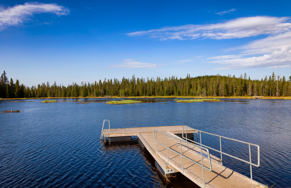 Floating Docks for Swimming rafting on a forest lake